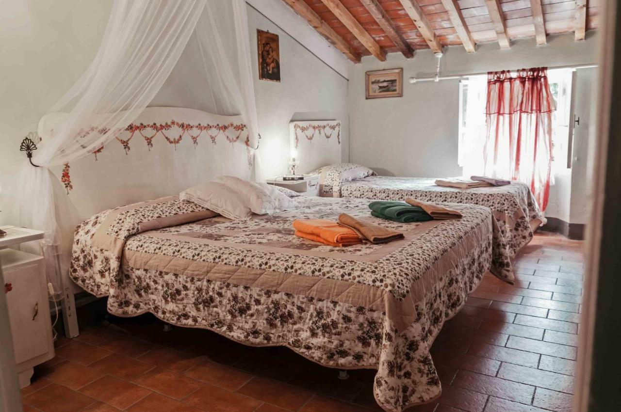 Agriturismo Corboli Vernio Dış mekan fotoğraf